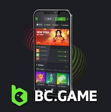 Experience the Thrill of Online Gaming at BC Game Casino